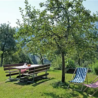 A beautiful garden with a bench and two lounge chairs under a tree. In the background, green hills and a blue sky can be seen.