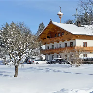 A charming wooden house in the snow, surrounded by snow-covered trees. Majestic mountains can be seen in the background.