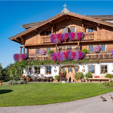Ein charmantes Holzhaus mit bunten Blumenampeln. Im Vordergrund watscheln Enten über eine grüne Wiese.