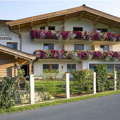 A charming hotel with blooming balcony boxes. Surrounded by green countryside and a well-maintained garden.