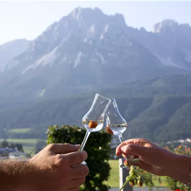 Two people toast with glasses while majestic mountains can be seen in the background. It is a beautiful, sunny day.