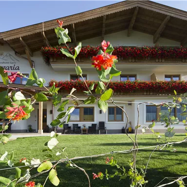 A beautiful inn with a balcony and colorful flowers. The garden is green and inviting.