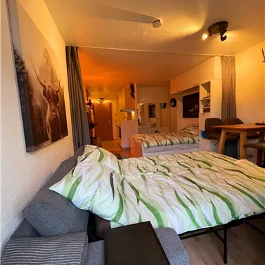 Ein gemütliches Zimmer mit einem großen Bett und einem Schlafsofa. Die Wände sind hell, und es gibt eine offene Küchenzeile im Hintergrund.