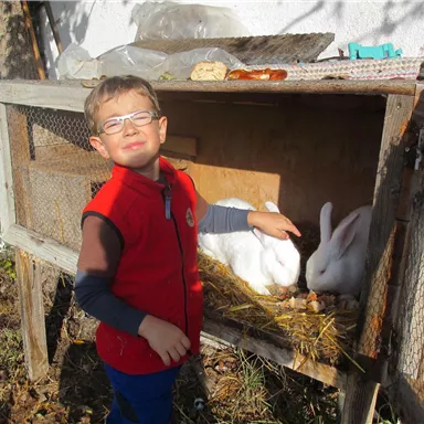 A boy is standing next to a rabbit hutch and pointing at the rabbits. It is a sunny day and the surroundings look rural.