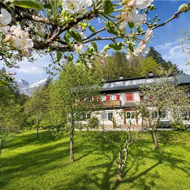 A charming house surrounded by flowering trees and green grass. In the background, mountains and a blue sky can be seen.