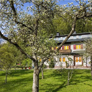 A charming house surrounded by blooming fruit trees and green meadows. In the background, the mountains are visible and the sky is clear.