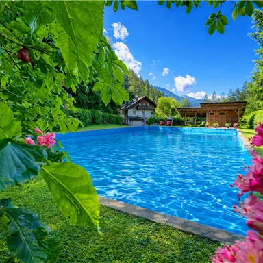 A beautiful swimming pool surrounded by greenery and colorful flowers. In the background, the cozy apartment building can be seen.