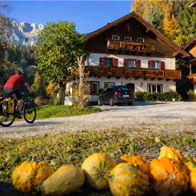 A cyclist rides along a gravel path past a traditional house and colorful pumpkins. The landscape is surrounded by trees and mountains, showcasing an autumn atmosphere.