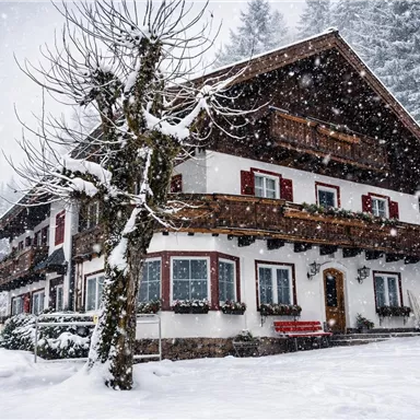 A cozy chalet in the snow, surrounded by a winter landscape. Large snowflakes are falling on the roof and the surroundings.