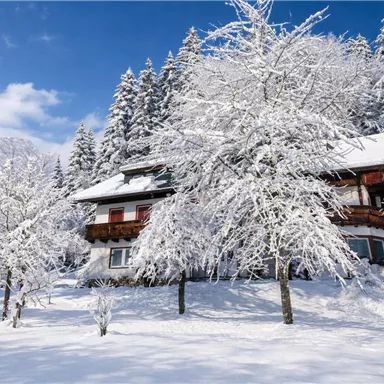 A picturesque house in the snow, surrounded by snowy trees. The sky is clear and blue, creating a tranquil winter landscape.
