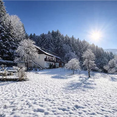 A snowy landscape with a charming house and snow-covered trees. The sun shines over the winter idyll.