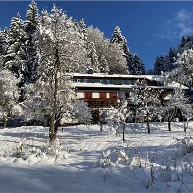 A picturesque house in the snow, surrounded by snow-covered trees. The clear sky creates a tranquil winter atmosphere.