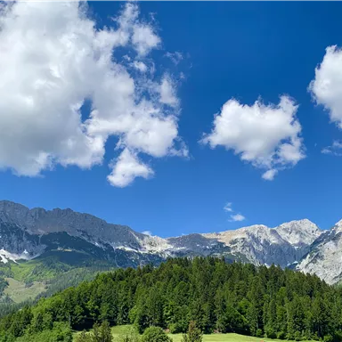 Eine wunderschöne Berglandschaft mit grünen Wäldern und majestätischen Gipfeln. Der Himmel ist blau mit einigen weißen Wolken.