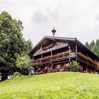 Ein traditionelles Holzhaus in einer grünen Wiese, umgeben von Bäumen. Im Hintergrund sieht man einen bewaldeten Hang unter einem bewölkten Himmel.