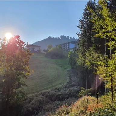Eine malerische Landschaft mit sanften Hügeln und Bäumen im Vordergrund. Die Sonne geht auf und beleuchtet die Szenerie sanft.