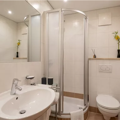 A modern bathroom with a shower, a sink, and a toilet. Bright tiles and a large mirror create a friendly atmosphere.