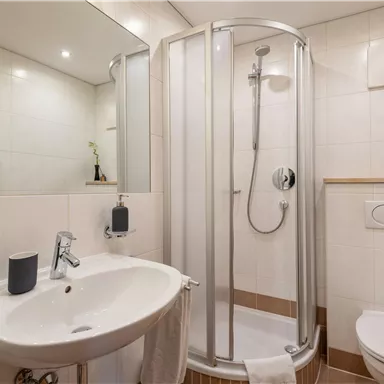 A modern bathroom with a shower cabin, a sink, and a toilet. The walls are brightly tiled, and there is a plant for decoration.