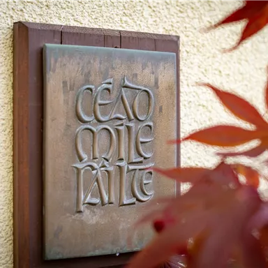 A bronze-colored plaque with the inscription "Cead Mile Failte" is attached to a wall. In the foreground, some red leaves are visible.