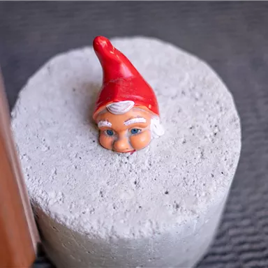 A small garden gnome figure with a red hat sits on a gray concrete block. The gnome has a friendly face and looks curiously.