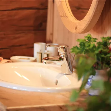 A modern sink with a shiny faucet in a rustic bathroom. Plants and care products complement the cozy atmosphere.