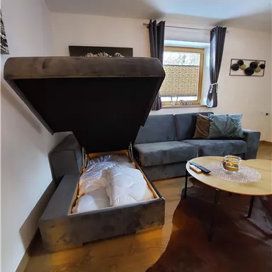 Ein modernes Wohnzimmer mit einem komfortablen Sofa und einem ausklappbaren Bett. Der Tisch hat eine dekorative Schale und es gibt Fenster mit Vorhängen.