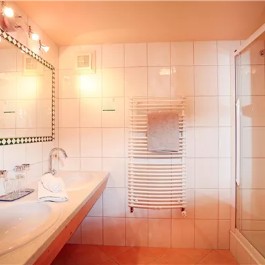 A modern bathroom with two sinks and a shower area. The walls are tiled and well-lit.