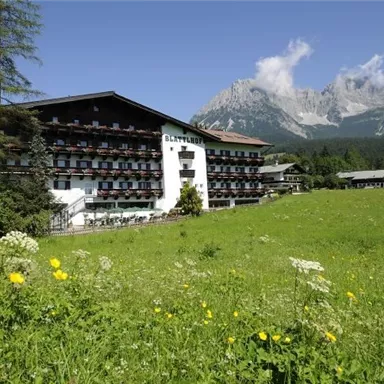 A cozy hotel with balconies, surrounded by a green meadow and mountains in the background. The sky is clear and nature is inviting.