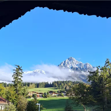 A picturesque view of snow-covered mountains under a clear blue sky. In the foreground are green meadows and trees.