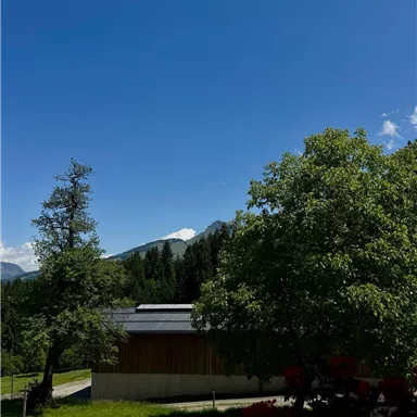 A clear blue sky over a picturesque landscape with green trees. In the foreground, there is a modern wooden building.