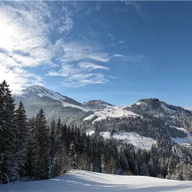 A winter landscape with snow-covered mountains and coniferous trees. The sky is clear and blue, with a few clouds.