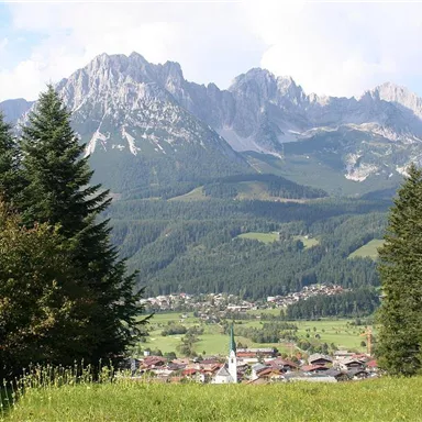Eine malerische Landschaft mit hohen Bergen und einem kleinen Dorf im Vordergrund. Die Bäume und Wiesen verleihen der Szenerie eine ruhige Atmosphäre.