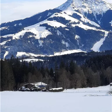 A snowy landscape with a large, snow-covered mountain in the background. In the foreground, there are trees and a small building.