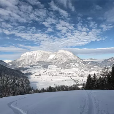 A wintry landscape with snow-covered mountains and a clear sky. In the foreground, snow tracks are visible in the white snow.