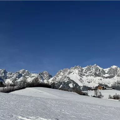 Eine winterliche Landschaft mit schneebedeckten Bergen und einem blauen Himmel. Im Vordergrund sind sanfte Hügel und ein paar Bäume zu sehen.