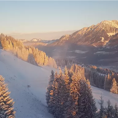 Eine verschneite Berglandschaft bei Sonnenaufgang. Die Bäume sind von goldenem Licht umhüllt, während die Gipfel im Hintergrund sichtbar sind.