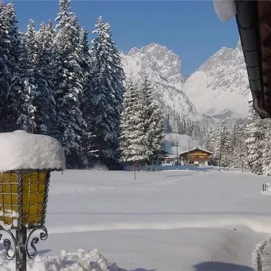 A snowy landscape with tall, green fir trees and majestic mountains in the background. A winter day with a bright blue sky.