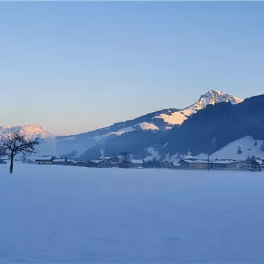 Eine winterliche Landschaft mit Schnee und Bergen im Hintergrund. Ein Baum steht alleine in der Felder, während die Sonne aufgeht.