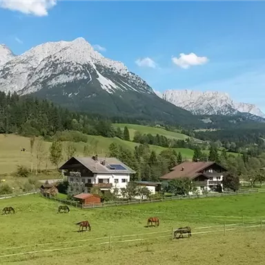 A beautiful landscape with green meadows and mountains in the background. Several horses are grazing in the pasture and nearby there are some cozy houses.