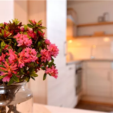 Ein schöner Blumenstrauß mit pinken Blüten in einer Glasvase. Im Hintergrund ist eine moderne Küche zu sehen.