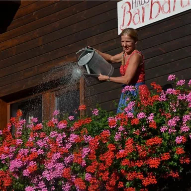 Eine Frau gießt Blumen auf einem Balkon mit bunten Geranien. Im Hintergrund ist ein Holzhaus mit einem Schild zu sehen.