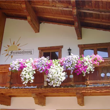 A beautiful balcony with blooming plants and wood cladding. In the background, a sunny sign is visible.