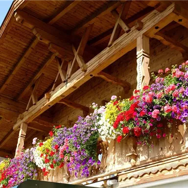 Ein wunderschöner Balkongeländer mit bunten Blumen in verschiedenen Farben. Die Holzstruktur trägt zur gemütlichen Atmosphäre bei.