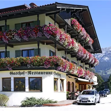 A traditional inn with colorful flower pots. In the background, mountains and a blue sky are visible.