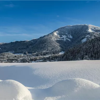 Eine winterliche Landschaft mit schneebedeckten Hügeln und einem klaren blauen Himmel. Im Vordergrund erstreckt sich eine sanfte Schneedecke.