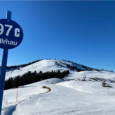 A snow-covered landscape with a ski signal and a clear blue sky. In the background, the snow-covered hills and forests can be seen.