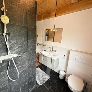 Ein modernes Badezimmer mit einer Glasdusche und einem Holzdecke. Es gibt eine Toilette und ein Waschbecken mit Spiegel.