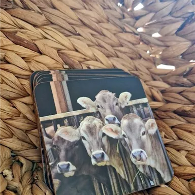 Eine Gruppe von Kühen schaut neugierig aus einer Box. Die Kühe sind auf einer Kartenabbildung zu sehen, die in einem geflochtenen Korb liegt.
