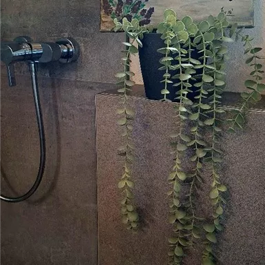 Eine moderne Dusche mit einer Wand aus Beton und einem Wasserhahn. Darüber hängt ein Schild mit der Aufschrift "Be the reason someone smiles today" und einer Pflanze in einem Topf.