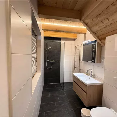 Ein modernes Badezimmer mit Holzdecke und eleganten Fliesen. Es enthält eine Duschkabine, ein Waschbecken und eine Toilette.