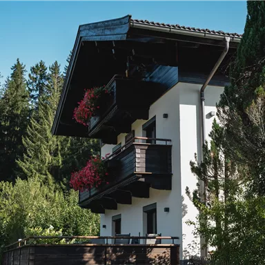 A modern house surrounded by trees and greenery. The balcony is decorated with flowers and the facade shows a stylish contrast between wood and plaster.